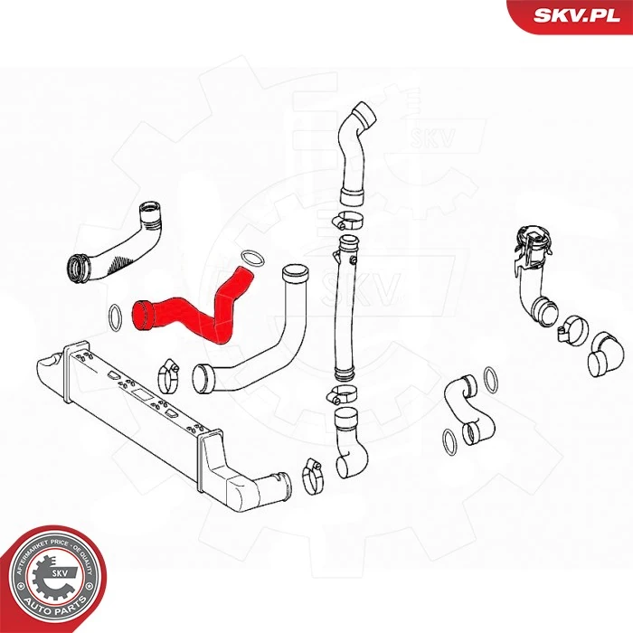Купить 43SKV434 SKV Патрубок интеркулера