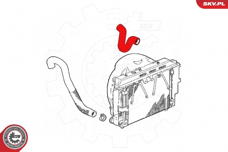 Купить 43SKV310 SKV 