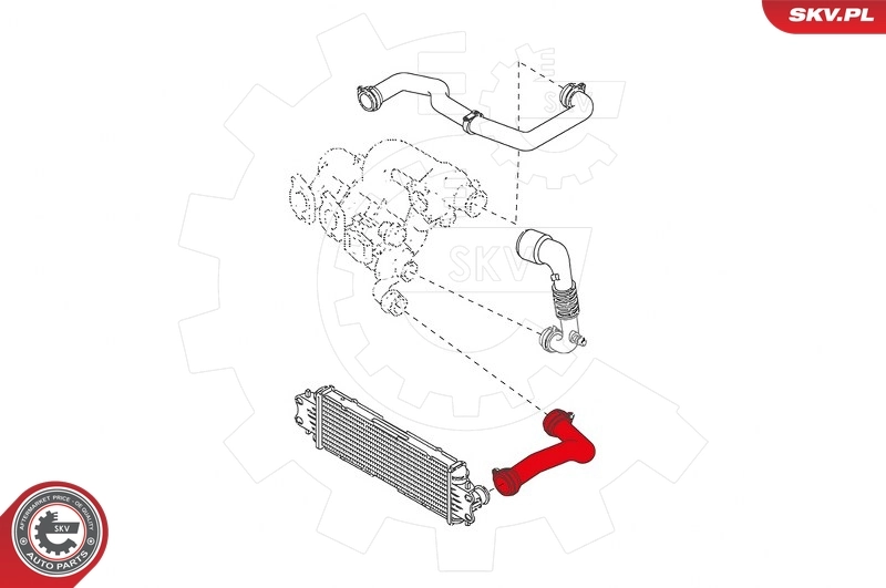 Шланг/патрубок интеркуллера SKV 43SKV092 цена, от 29.26 USD