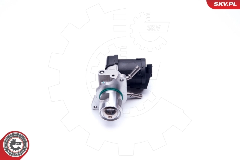 Купить 14SKV169 SKV Клапан EGR системы рециркуляции отработавших газов