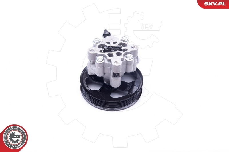 Насос гидравлики SKV 10SKV265 цена, от 120.72 USD