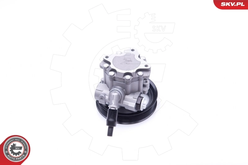 Насос ГУР 10SKV266 SKV