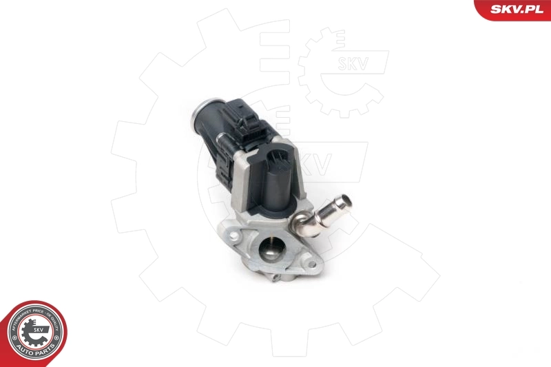 Клапан EGR, рециркуляции газов SKV 14SKV100