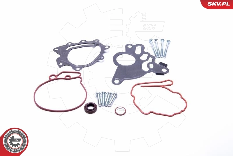 18SKV804 SKV Тандемный насос