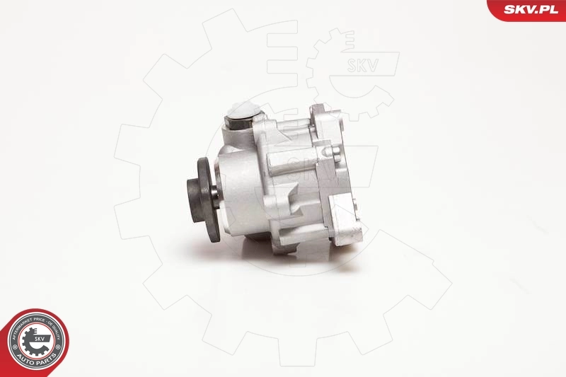 Насос гидравлики SKV 10SKV124 цена, от 100.03 USD