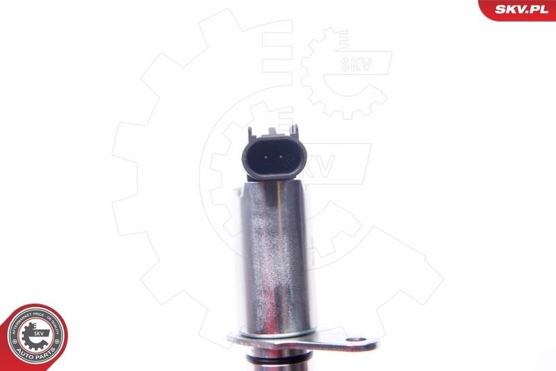Клапан фазорегулятора 39SKV037 SKV