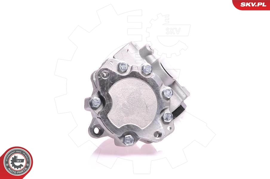 Насос гидравлики SKV 10SKV121 цена, от 63.21 USD