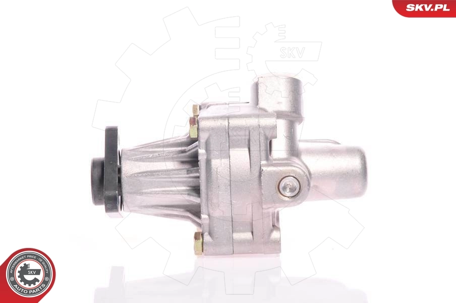 10SKV011 SKV ГУР руля