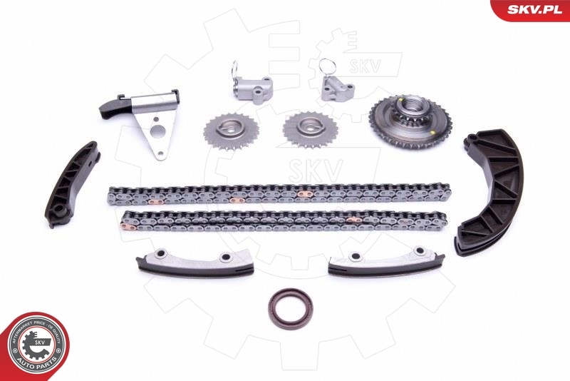21SKV225 SKV Комплект цепи