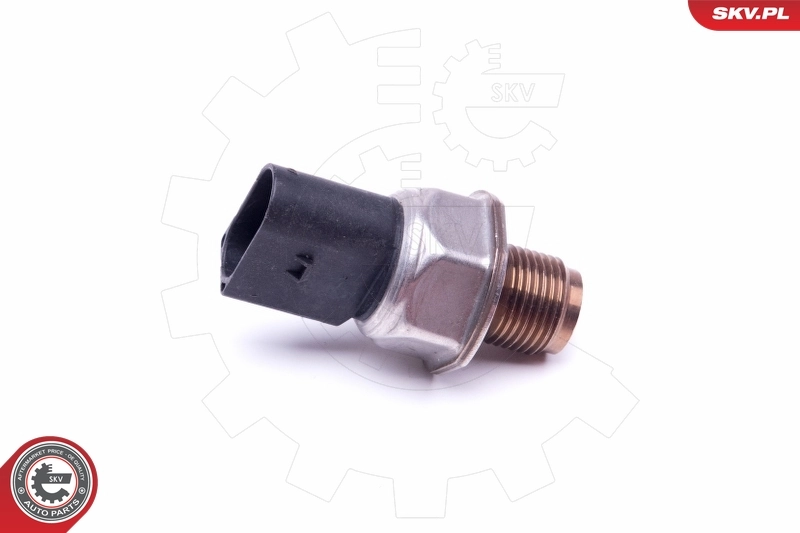 17SKV590 SKV Манометры