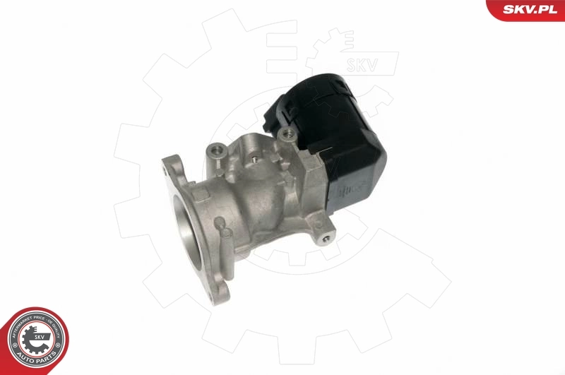 14SKV057 SKV Клапан рециркуляции отработавших газов EGR