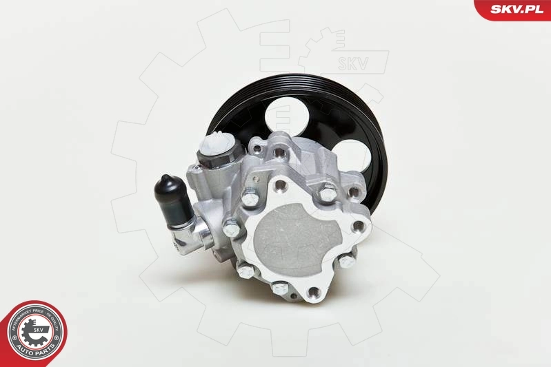 Насос гидравлики SKV 10SKV009 цена, от 77.34 USD