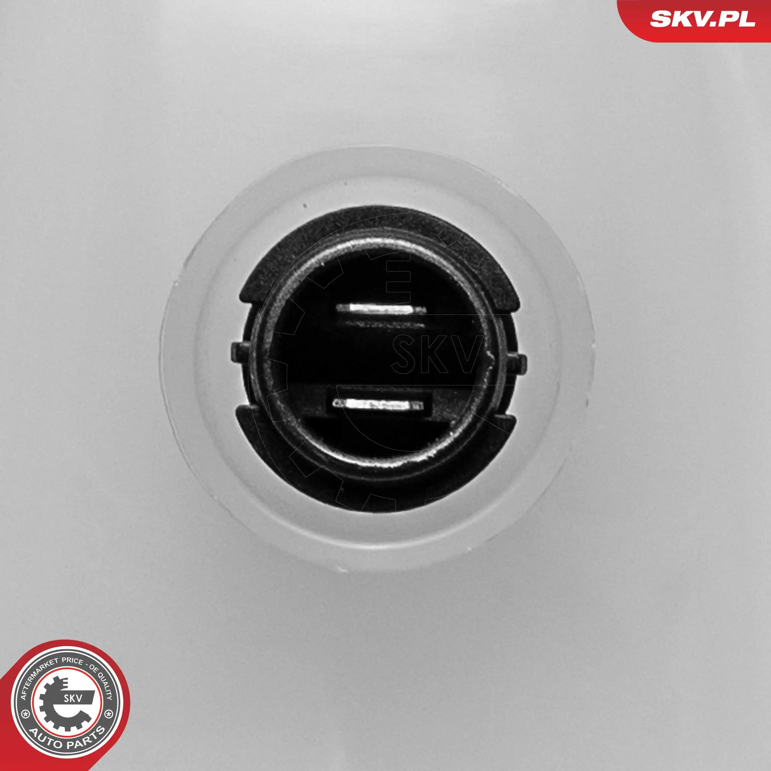 Бачок системы охлаждения 61SKV317 SKV