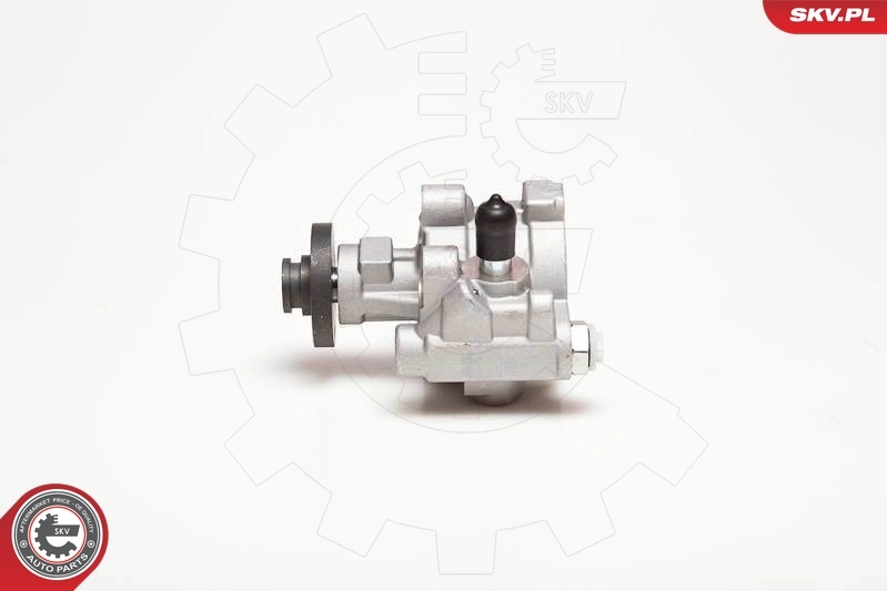 Насос гидравлики SKV 10SKV054 цена, от 125.93 USD