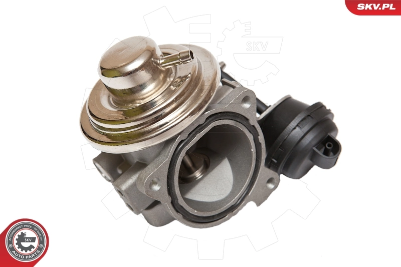 Клапан EGR, рециркуляции газов SKV 14SKV082