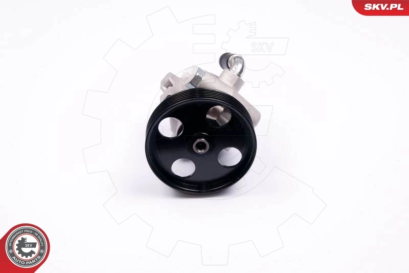 Насос ГУР 10SKV174 SKV