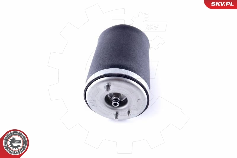 58SKV001 SKV Пневморессора задняя