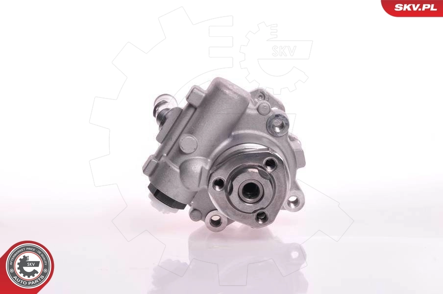 Насос гидроусилителя руля SKV 10SKV166
