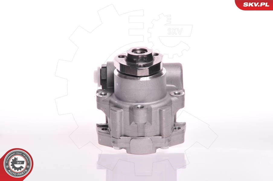 10SKV166 SKV ГУР руля
