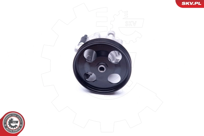 Насос гидроусилителя руля SKV 10SKV287
