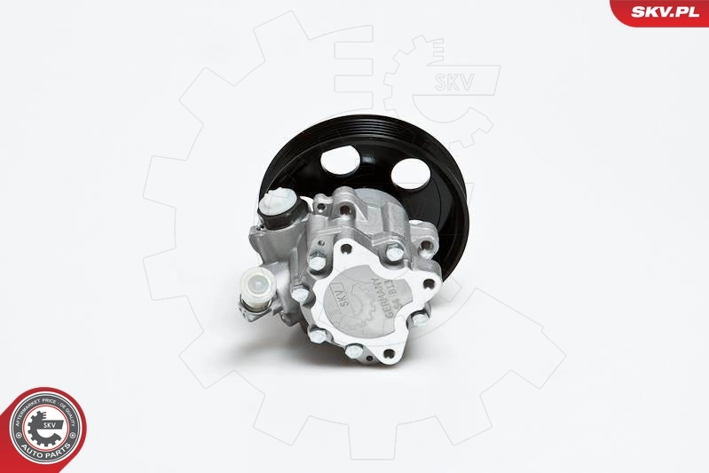 Насос гидравлики SKV 10SKV022 цена, от 80.72 USD