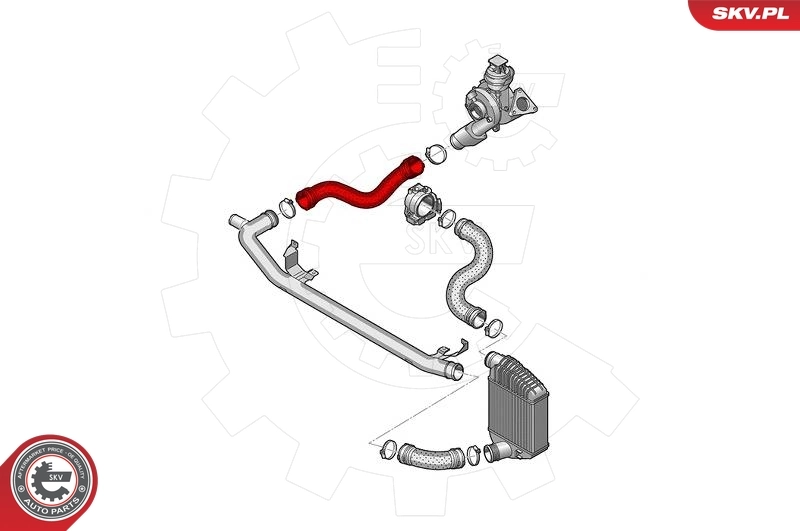 Купить 43SKV276 SKV 