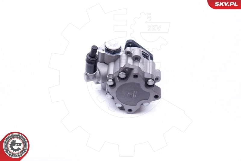 Насос гидроусилителя руля SKV 10SKV242