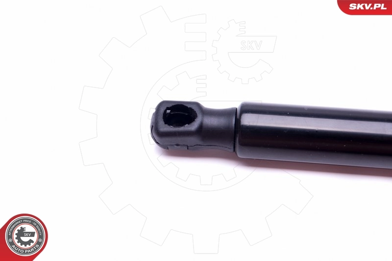 Amortecedor de tampa de porta-malas (de 3ª/5ª porta traseira) Fiat Doblo 2 263