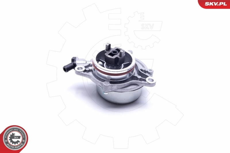 18SKV046 SKV Механический вакуумный насос
