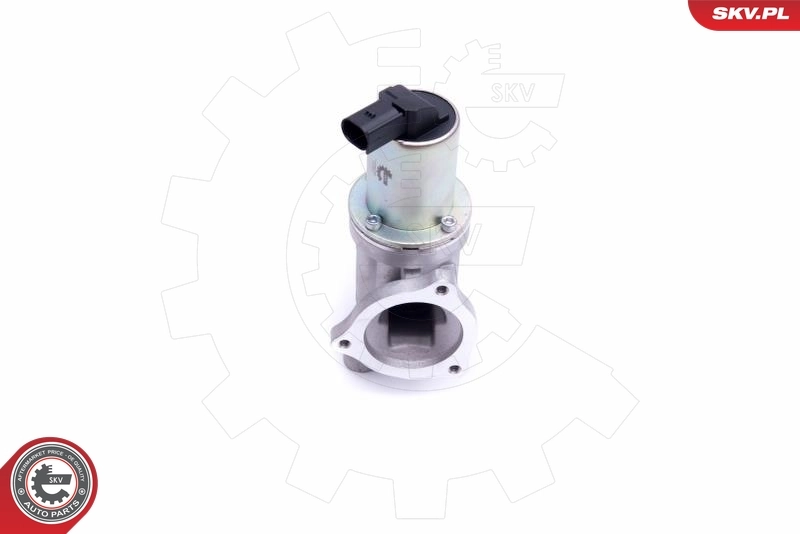 Клапан ЕГР 14SKV209 SKV