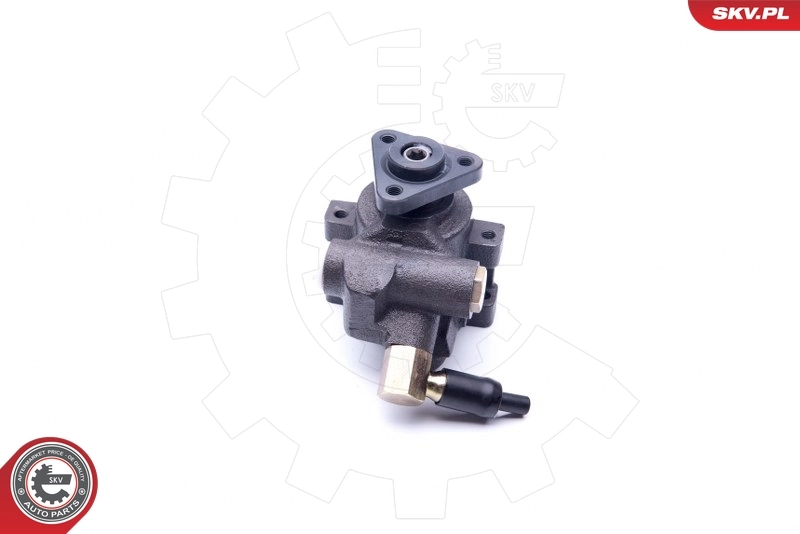 Насос ГУР 10SKV259 SKV