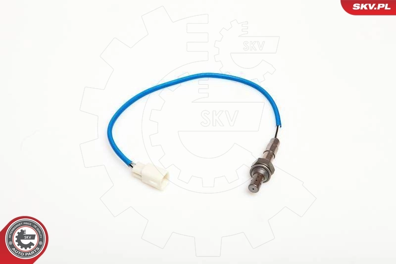 09SKV058 SKV 