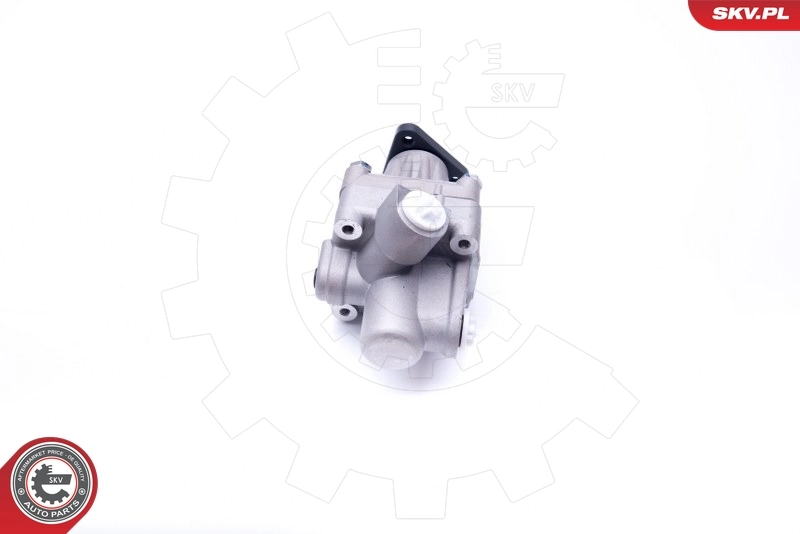 Насос ГУР 10SKV245 SKV