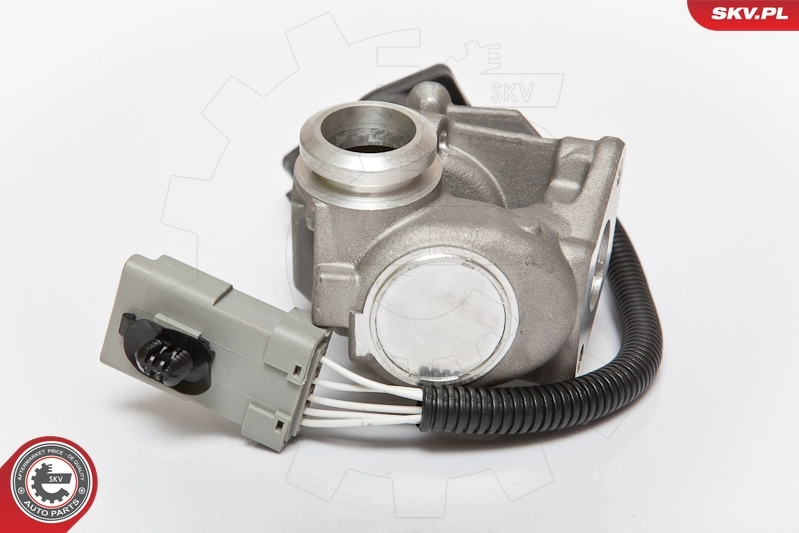 14SKV067 SKV Клапан рециркуляции отработавших газов EGR