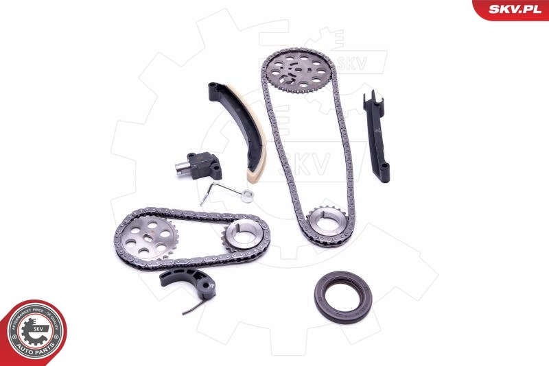 Ремкомплект ГРМ Iwis 70663SET цена, от 81.25 USD