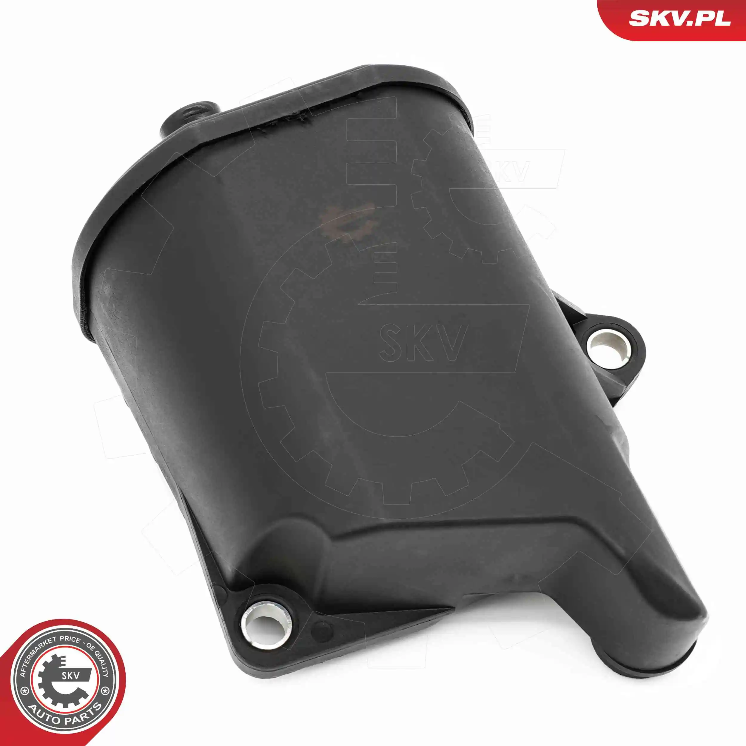 Купить 31SKV429 SKV 