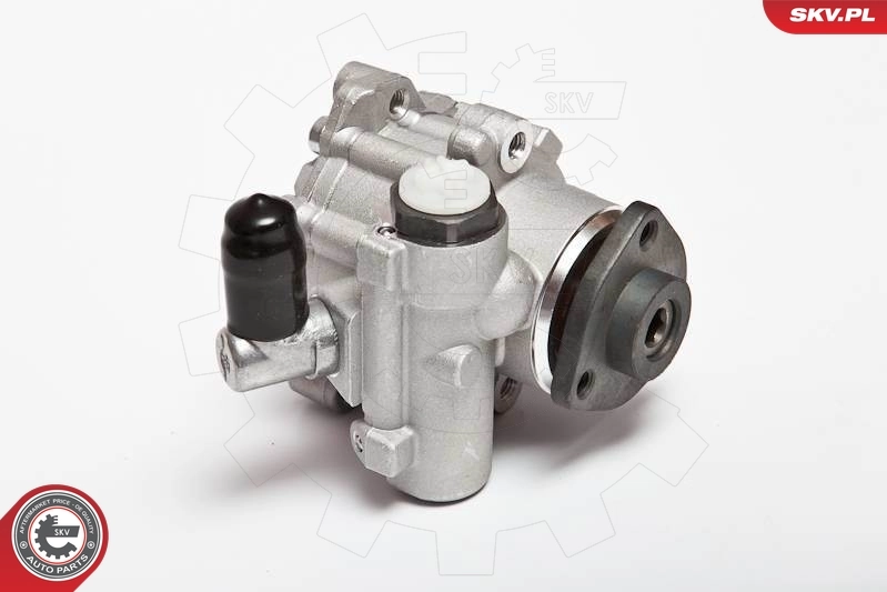 Насос ГУР 10SKV043 SKV