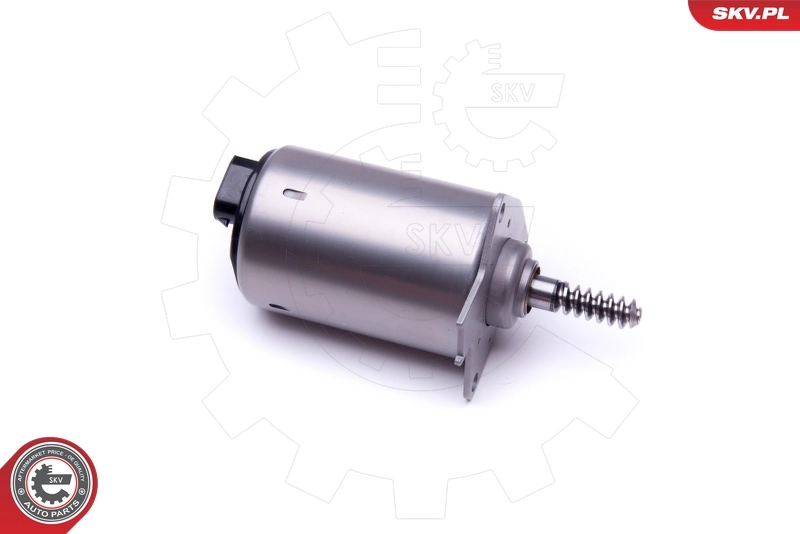 Regulador das fases de distribuição de gás Peugeot 408 RUSSIA 