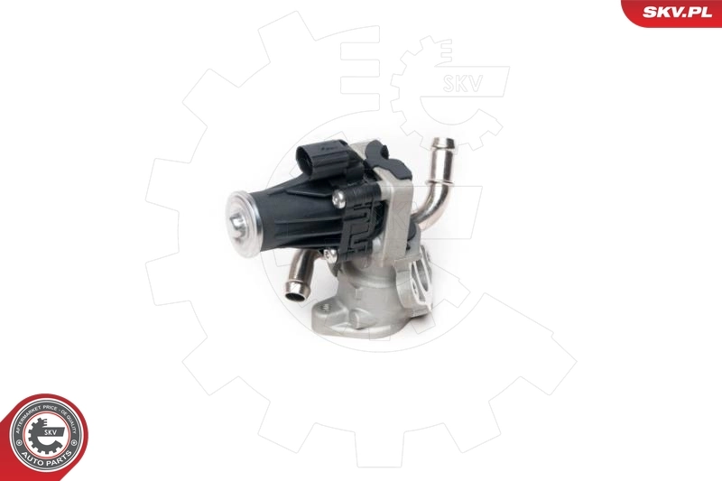 Клапан ЕГР 14SKV100 SKV