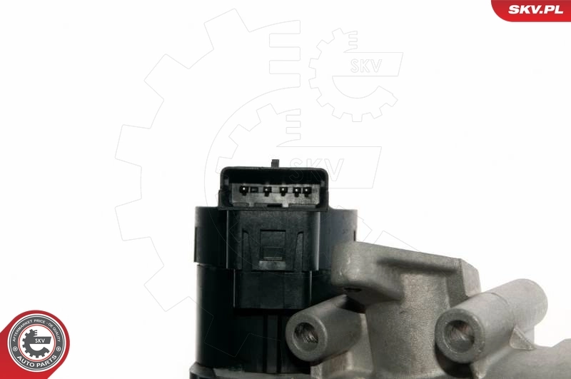 Клапан EGR, рециркуляции газов SKV 14SKV057