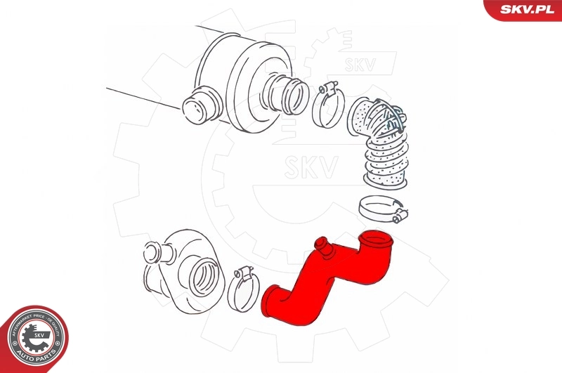 Купить 43SKV858 SKV 