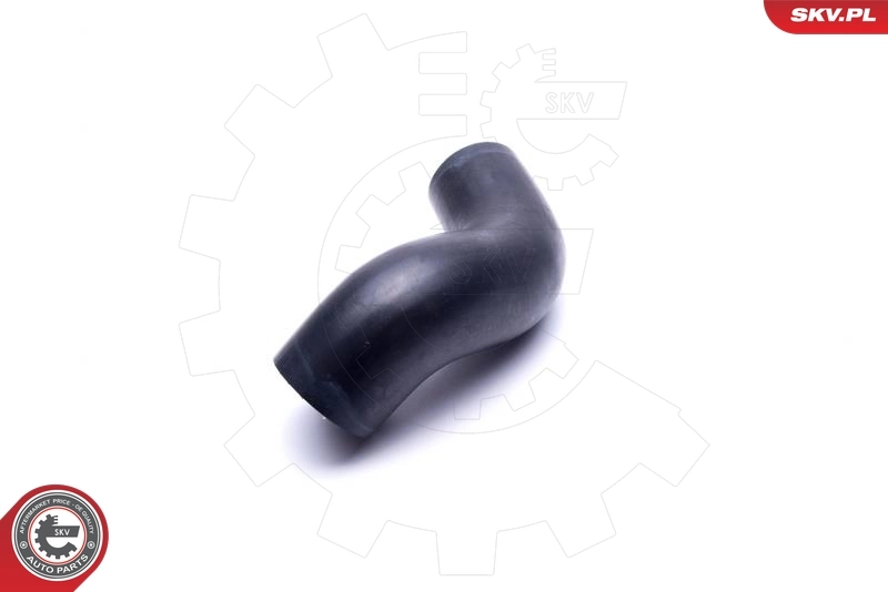  SKV 54SKV029 цена, от 31.48 USD