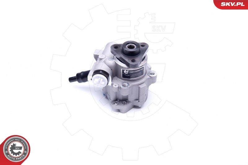 Насос ГУР 10SKV249 SKV