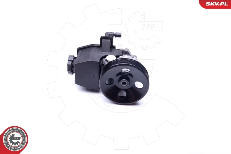 Насос ГУР 10SKV269 SKV