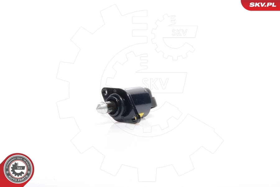 Válvula (regulador) de marcha a vácuo Renault Kangoo 1 KC0, KC1