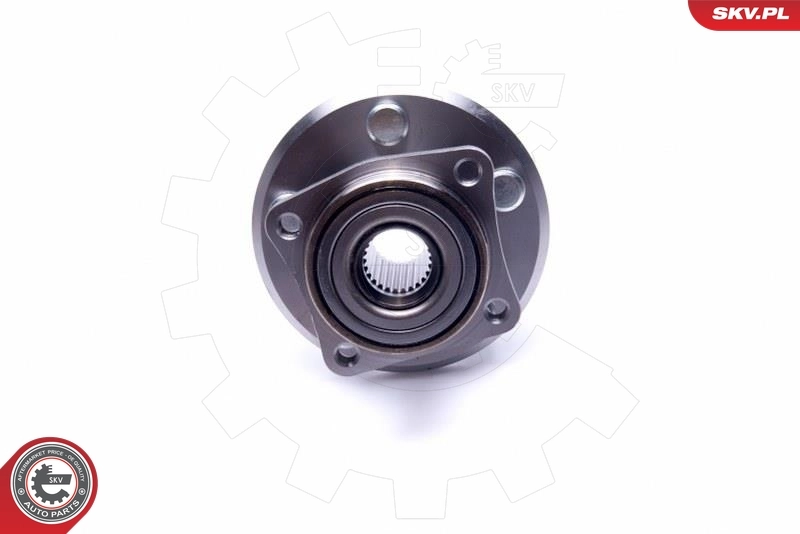 Ступицы задних колес SKV 29SKV532 цена, от 47.20 USD