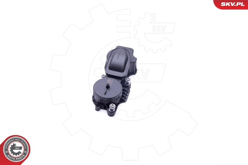 31SKV069 SKV Клапан PCV вентиляции картера