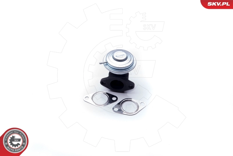 Купить 14SKV183 SKV Клапан EGR системы рециркуляции отработавших газов