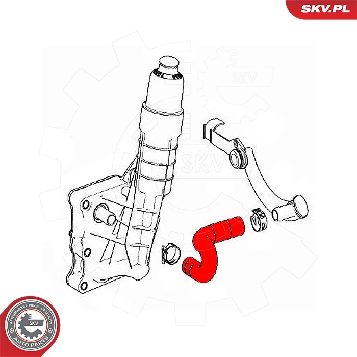 Купить 43SKV469 SKV 