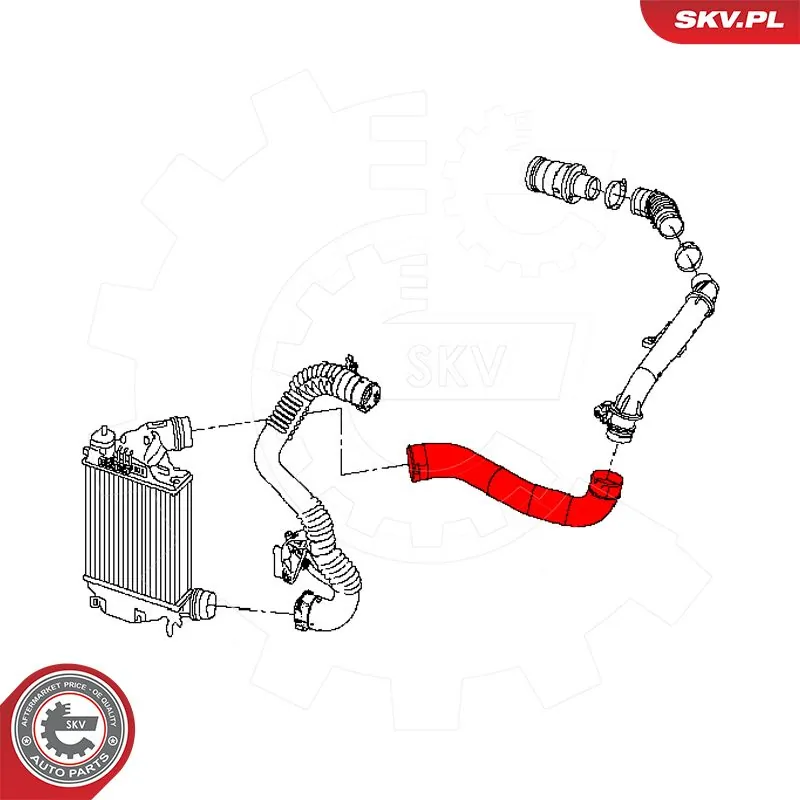 Купить 43SKV492 SKV Патрубок интеркулера